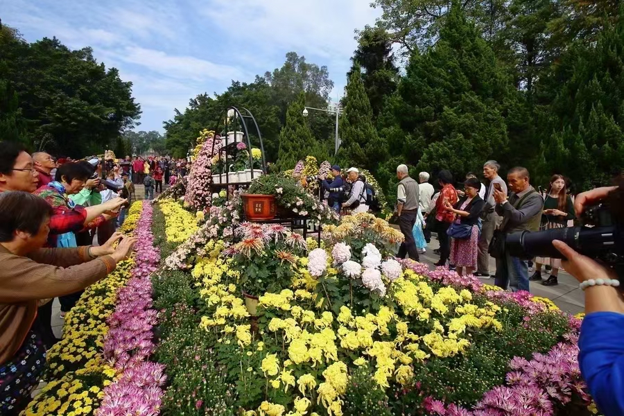 生态旅游与菊花文化艺术节的跨界融合.jpg