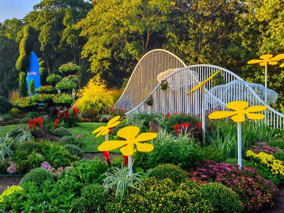 观赏体验式菊花展设计.jpg