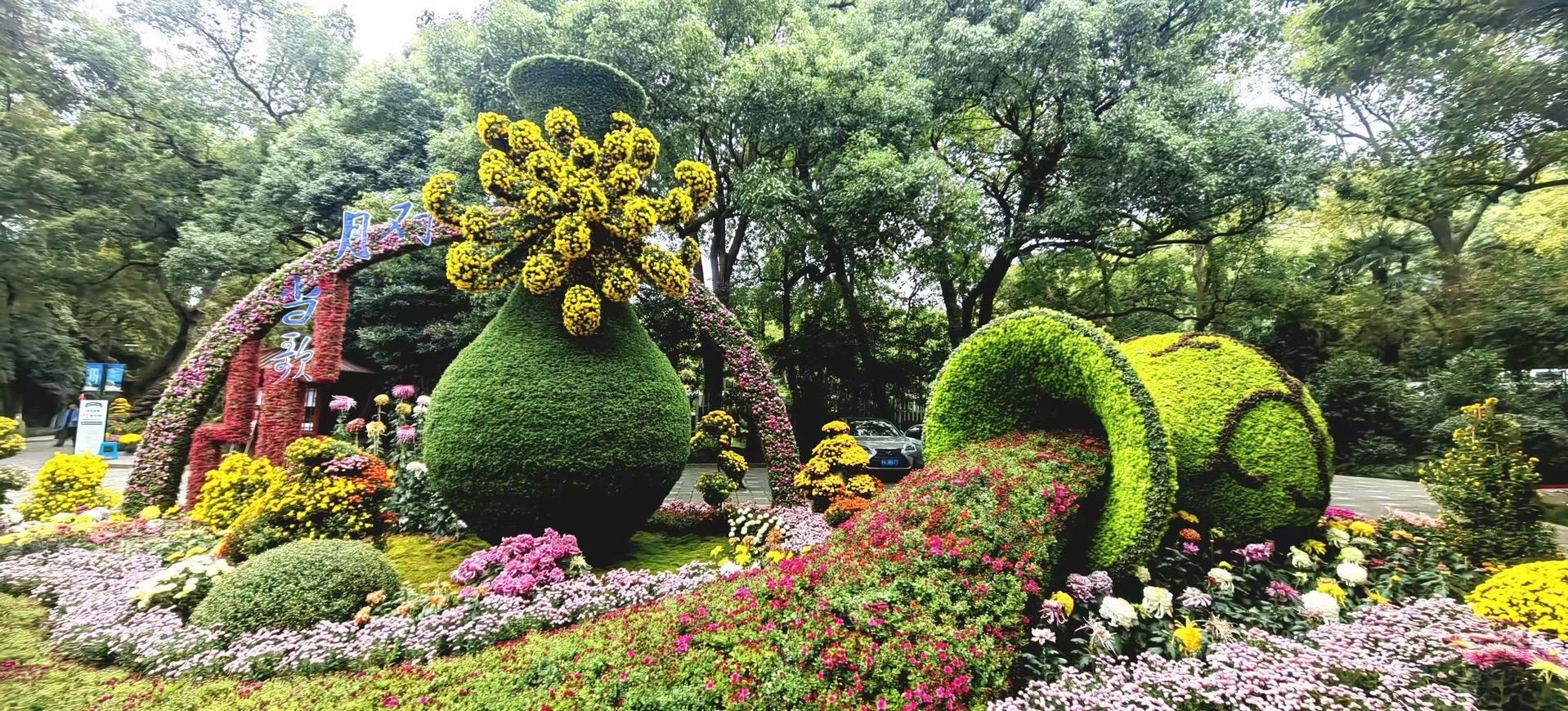 植物园菊花展设计.jpg