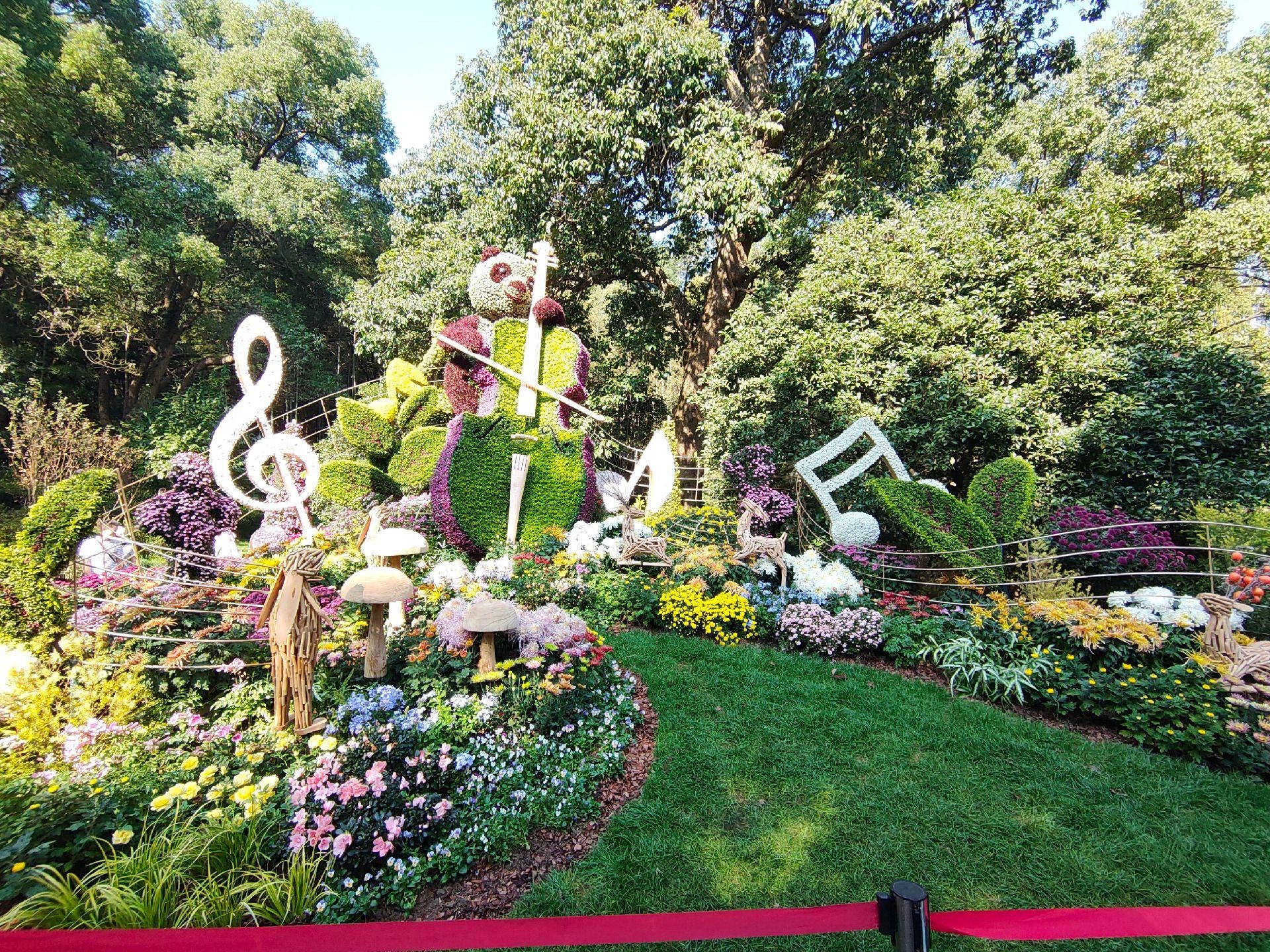 温州植物园菊花展设计