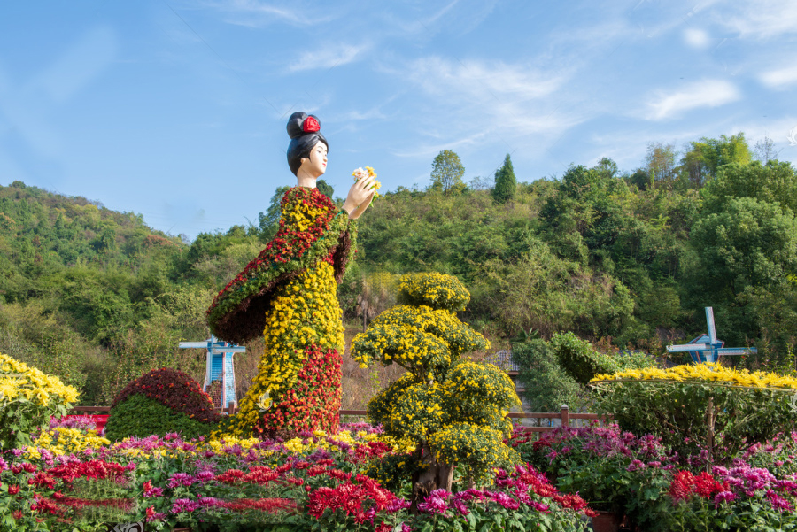 菊花展的主题意境.jpg